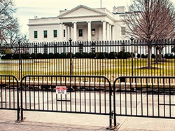 Public Sector